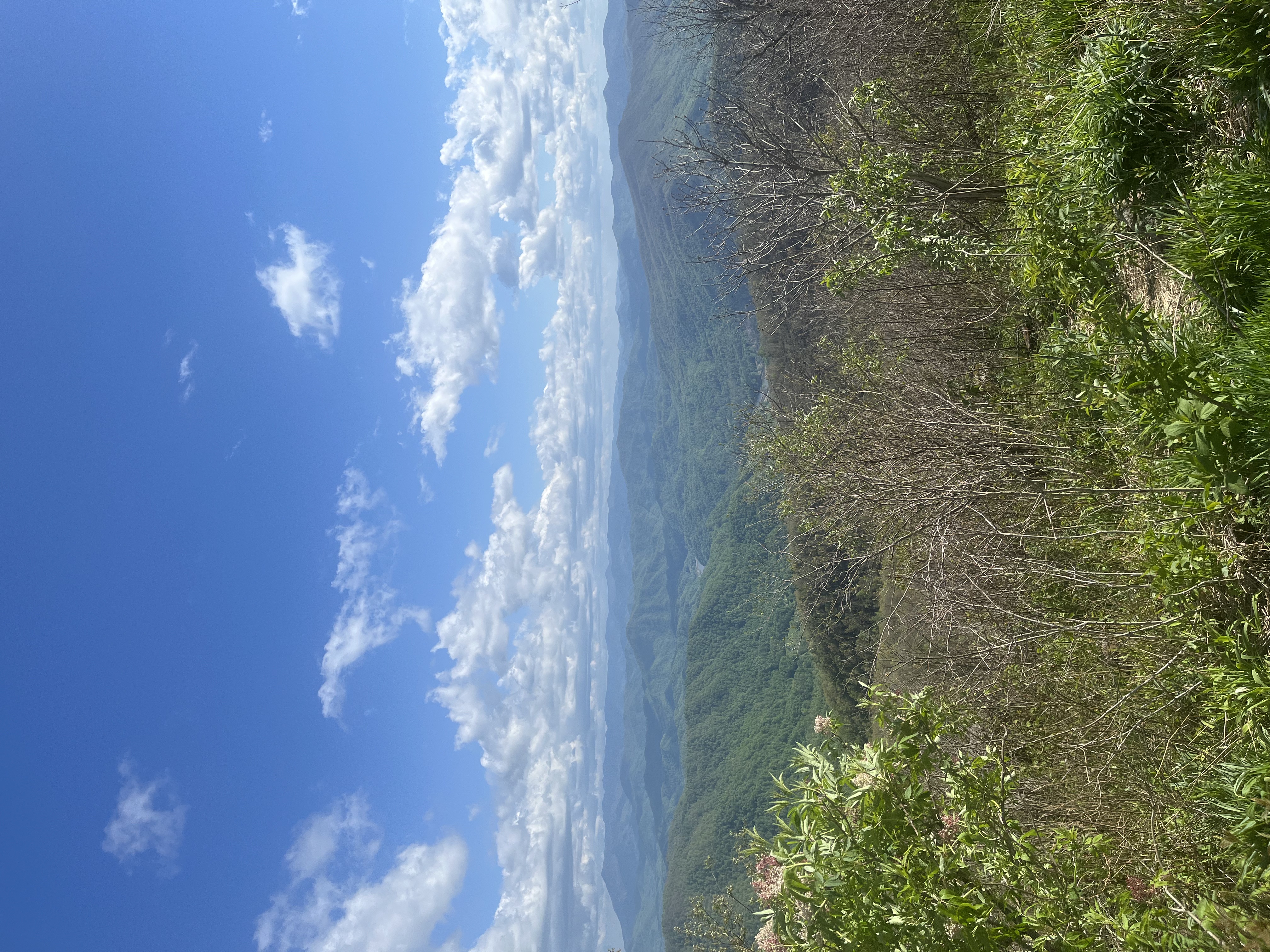 Beauty Spot, Unaka Mountain, Tennessee