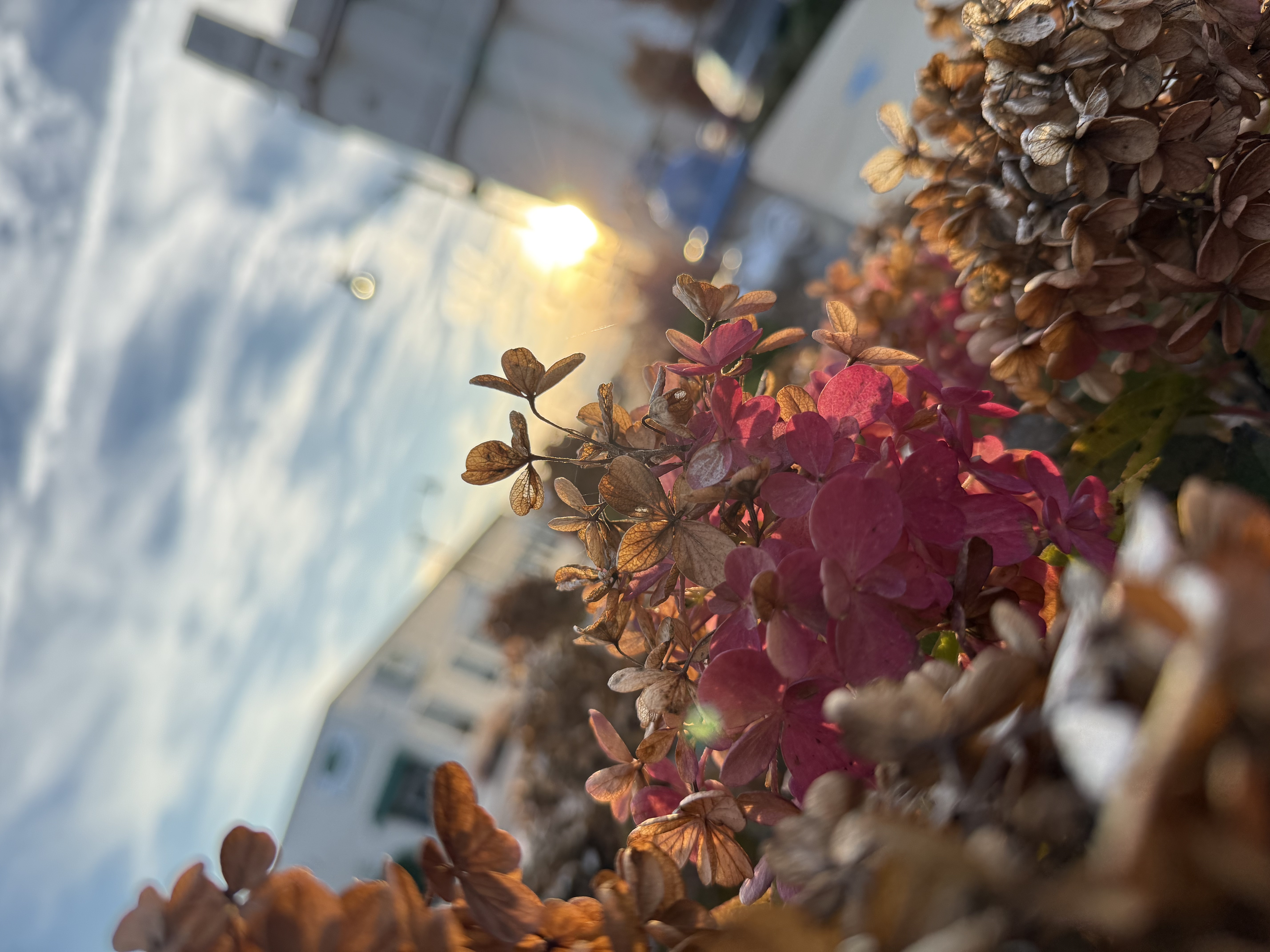 Downtown Johnson City, Tennessee