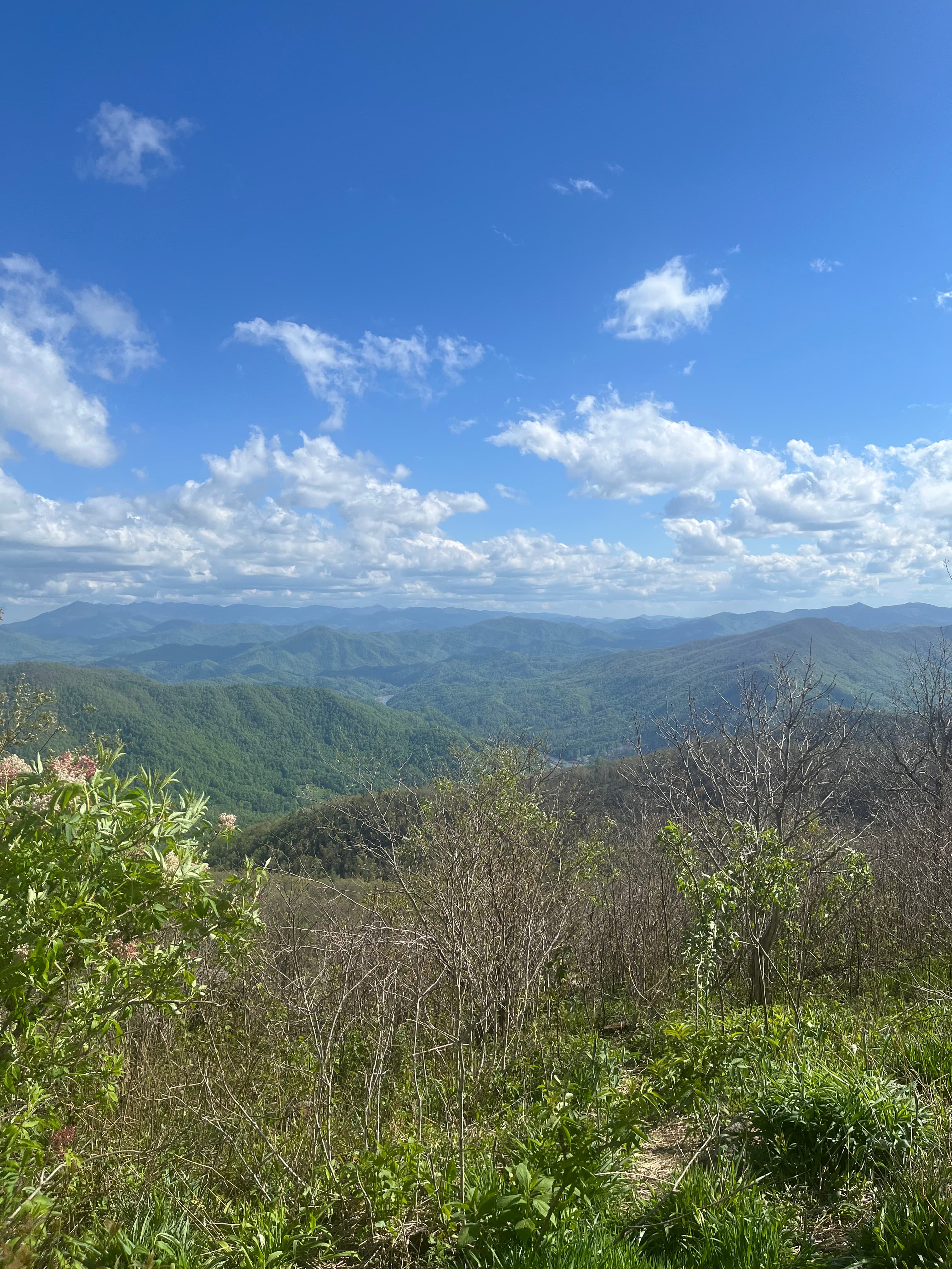 Beauty Spot, Unaka Mountain, Tennessee
