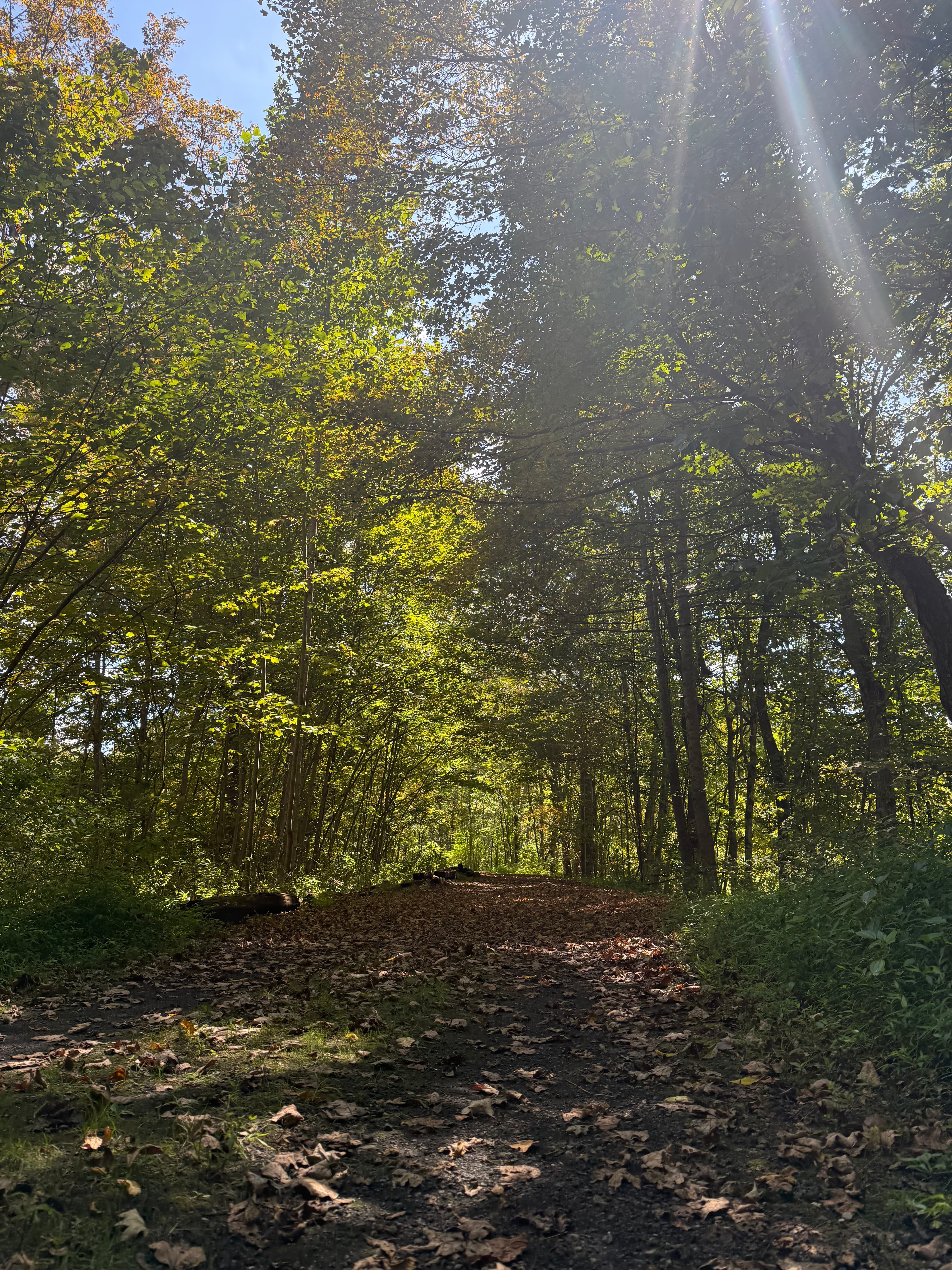 Glade Spring, Virginia