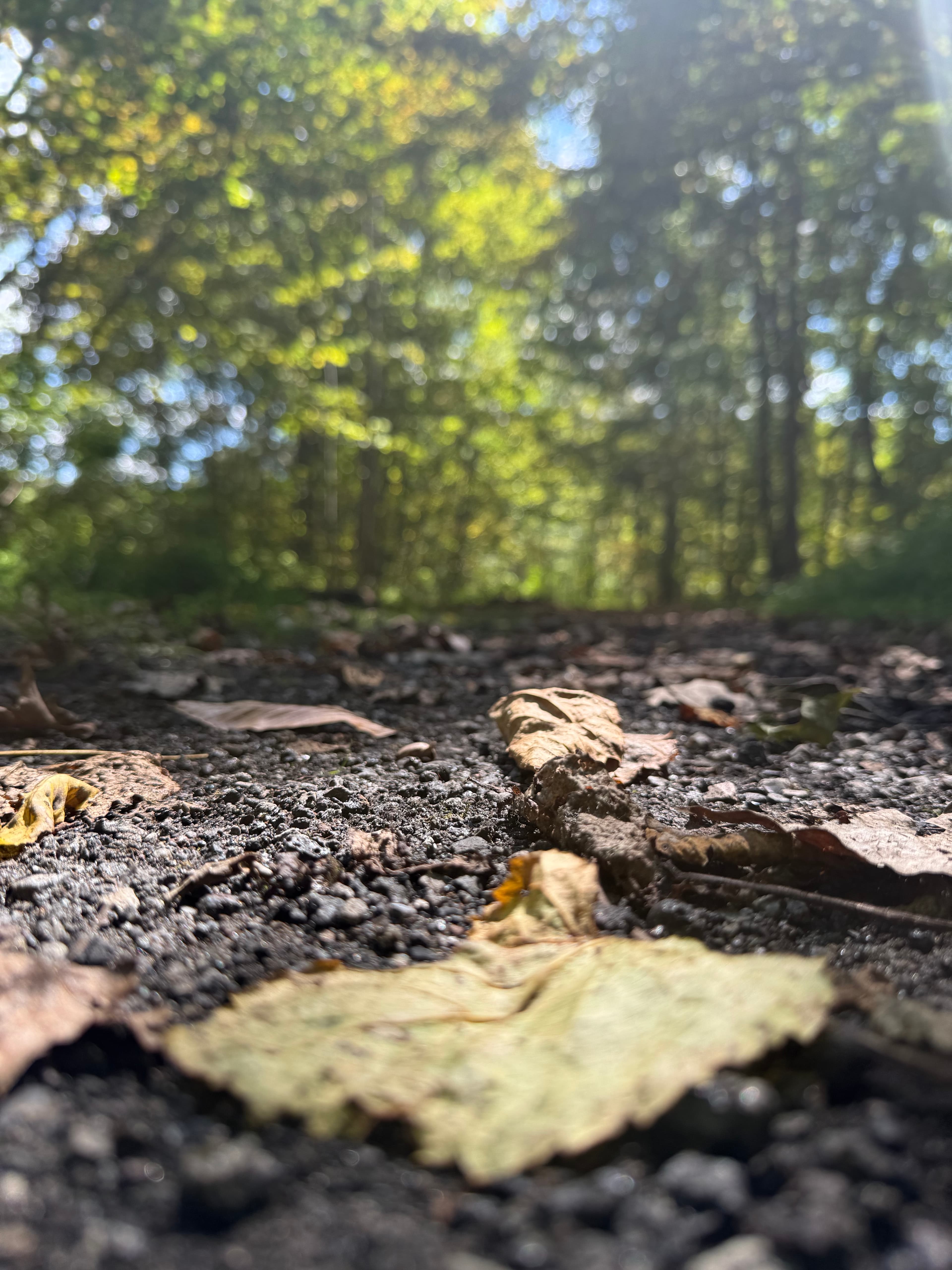 Glade Spring, Virginia