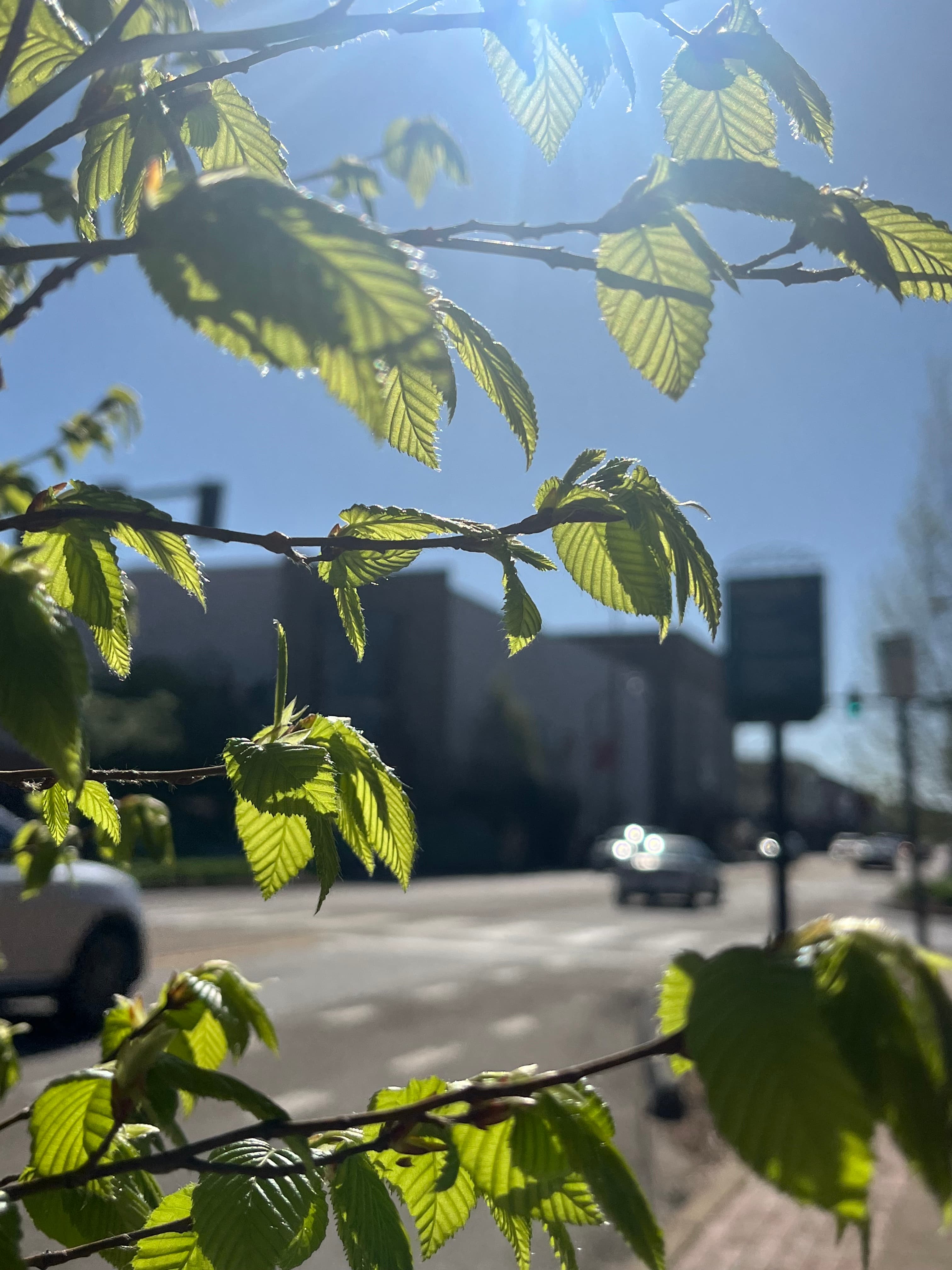 Downtown Kingsport