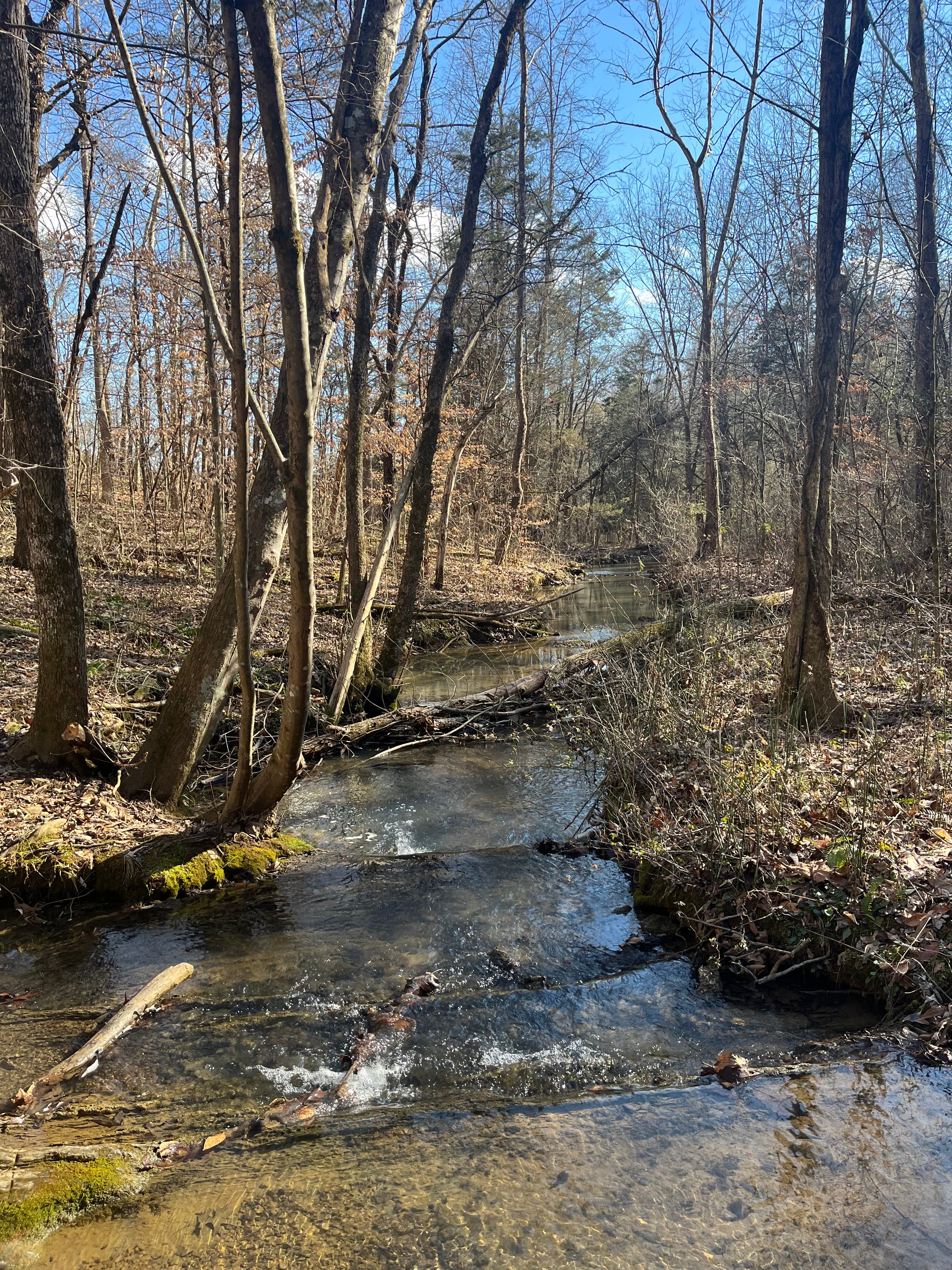 Persimmon Ridge, Washington County, Tennessee